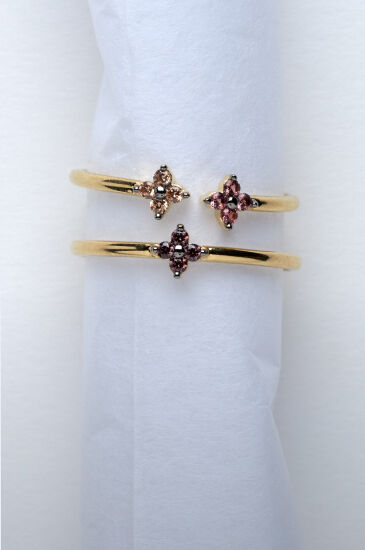 bagues[[d&eacute;couvrir]]