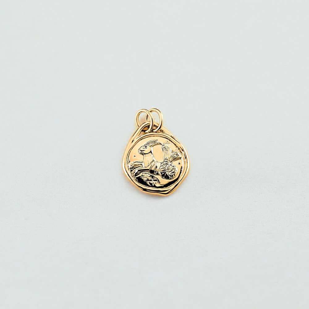 Pendentif CAPRICORNE ZODIAQUE - Doré - Bijoux sans pierre  | Agatha