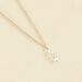 Collier ras du cou PETILLE - Cristal / Doré - Colliers  | Agatha