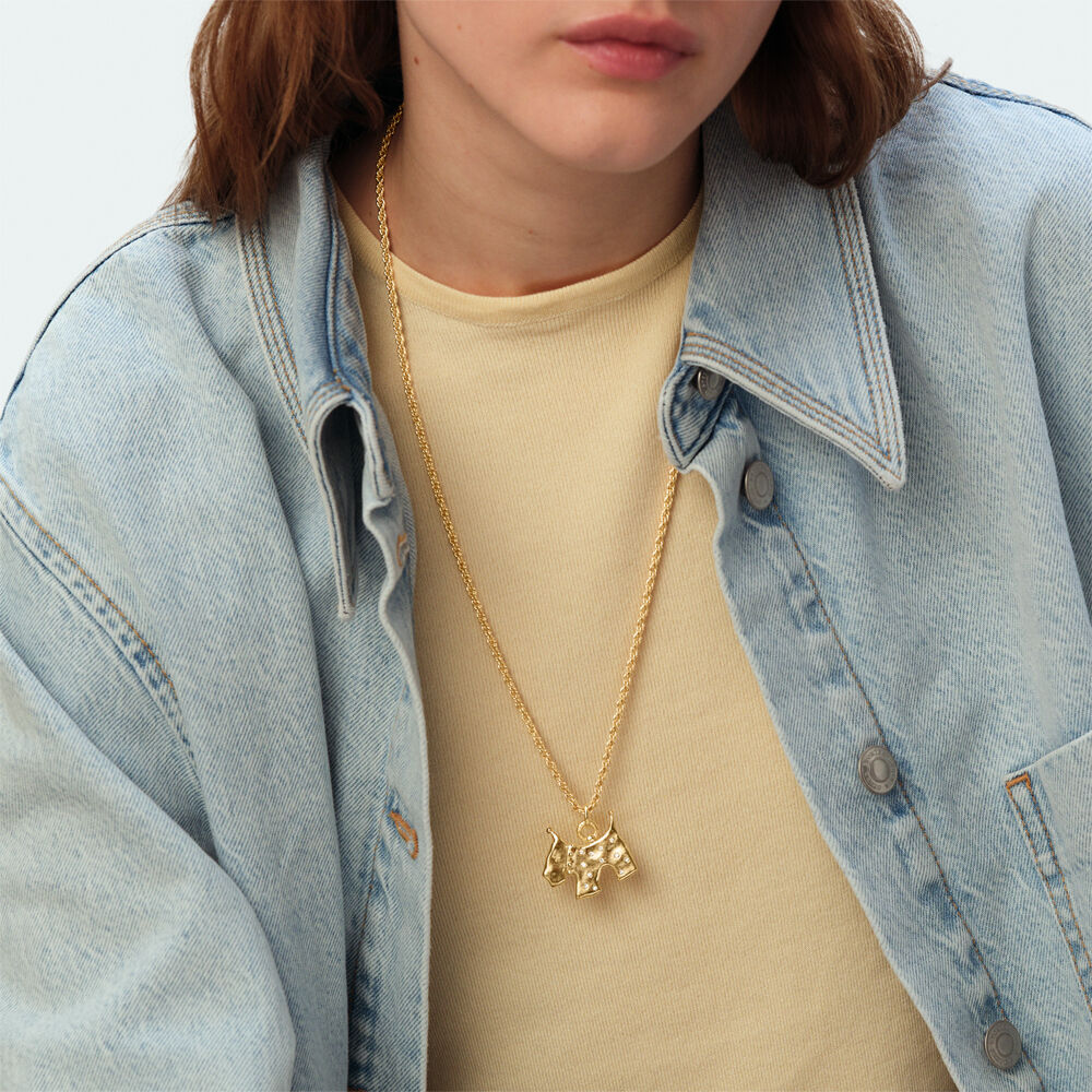 Pendentif PANGEA - Cristal / Dor&eacute; - Lookbooks nouveaut&eacute;s  | Agatha