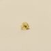 Piercing puce RAYITO - Doré - Piercings  | Agatha