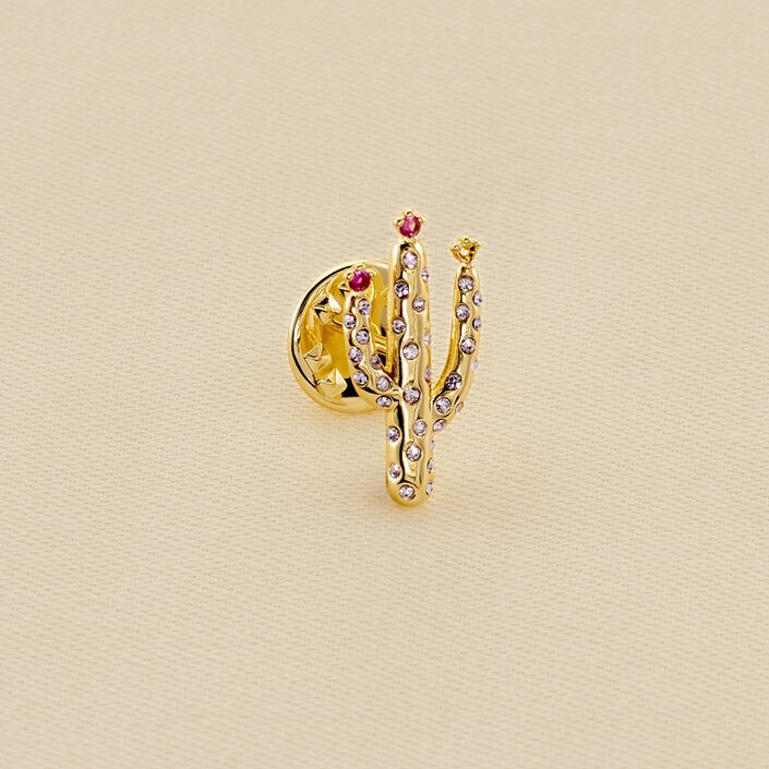 Pins RODEO - Multicolore / Doré - Accessoires  | Agatha