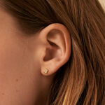 Boucles d'oreilles puces BELOVED - Cristal / Doré