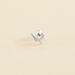 Piercing puce ECLAIR - Cristal / Argenté - Piercings  | Agatha