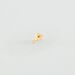 Piercing puce STARRY - Doré - Piercings  | Agatha