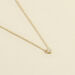Collier ras du cou BELOVED - Cristal / Doré - Colliers  | Agatha