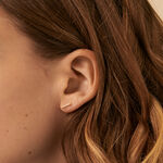 Boucles d'oreilles puces BARSHINE - Cristal / Doré - Boucles d'oreilles puces  | Agatha