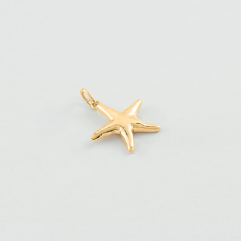 Pendentif ÉTOILE DE MER - Doré - Tous les Talismans  | Agatha