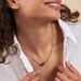 Collier ras du cou SESHA - Noir / Doré - Colliers  | Agatha