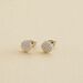 Boucles d'oreilles puces CRISTAL - Cristal / Argenté - Boucles d'oreilles puces  | Agatha